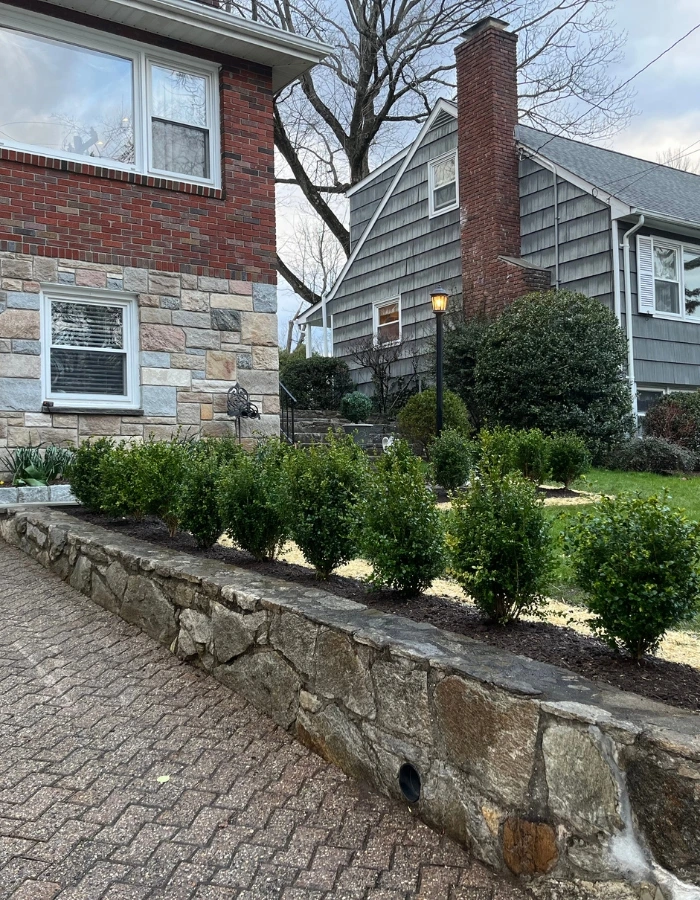 front driveway plantings by landscaping company in greenwich ct