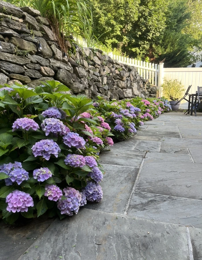 landscaping in greenwich ct along pathway with retaining wall